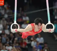 体操夜战:燕赵灰熊队强势横扫钱塘貔貅队,速度优势明显赛后更衣室沸腾的简单介绍 体操夜战:燕赵灰熊队强势横扫钱塘貔貅队,速度优势明显赛后更衣室沸腾的简单介绍