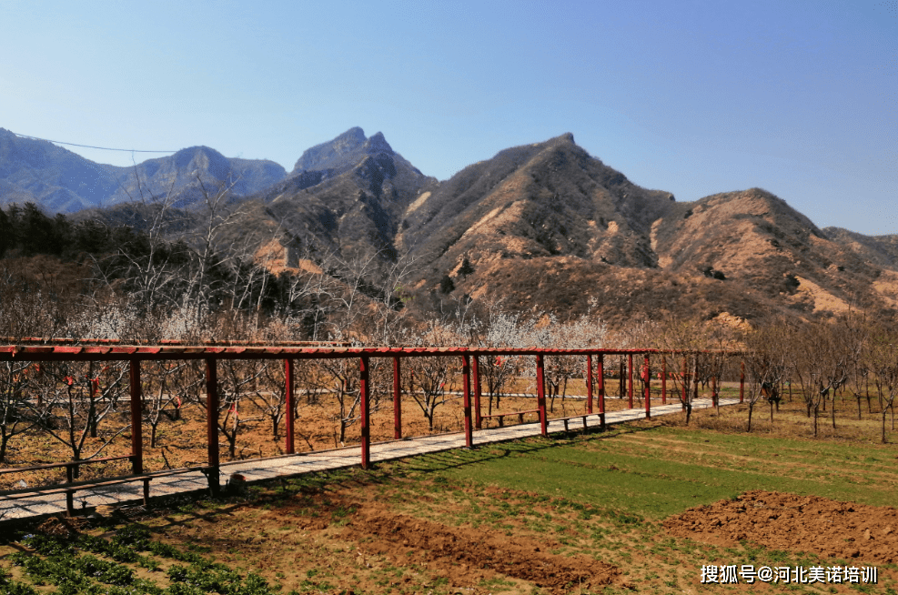 排球半决赛掀起高潮,雪域旋风队翻盘祁连麒麟队,战至最后一刻——临场应变见真章 排球半决赛掀起高潮,雪域旋风队翻盘祁连麒麟队,战至最后一刻——临场应变见真章